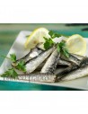 Ramón Franco - Sardinas en aceite de oliva (Sardinillas)